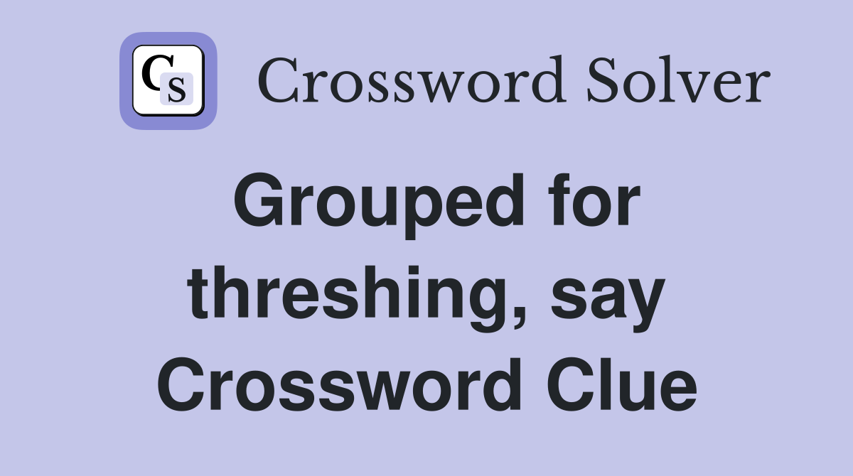 Grouped for threshing, say Crossword Clue