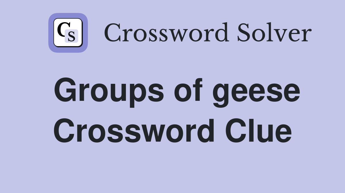 Groups of geese Crossword Clue