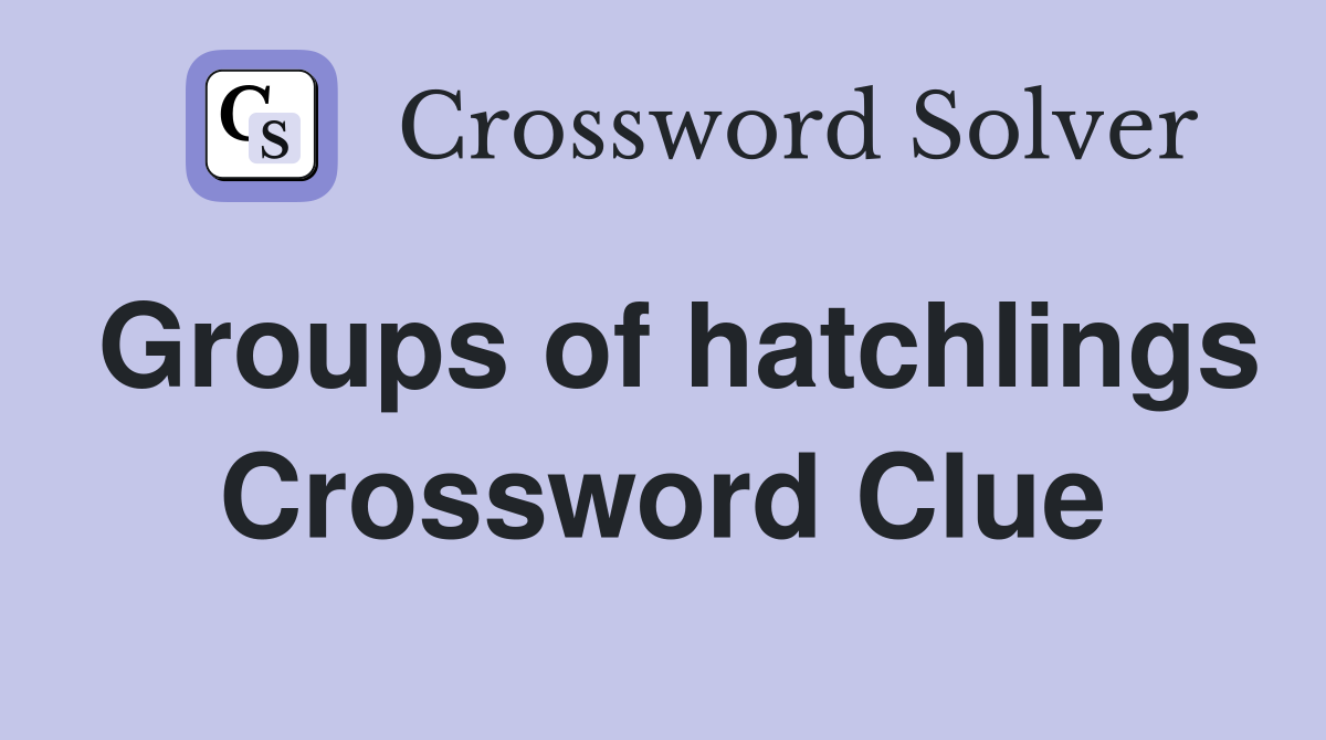 Groups of hatchlings Crossword Clue