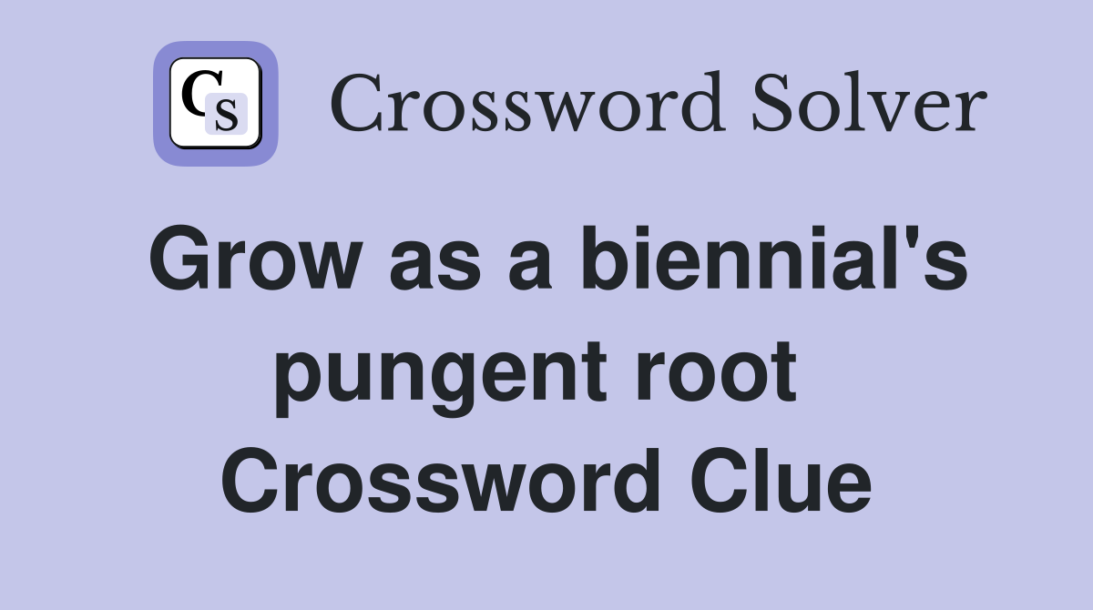 Grow as a biennial's pungent root  Crossword Clue