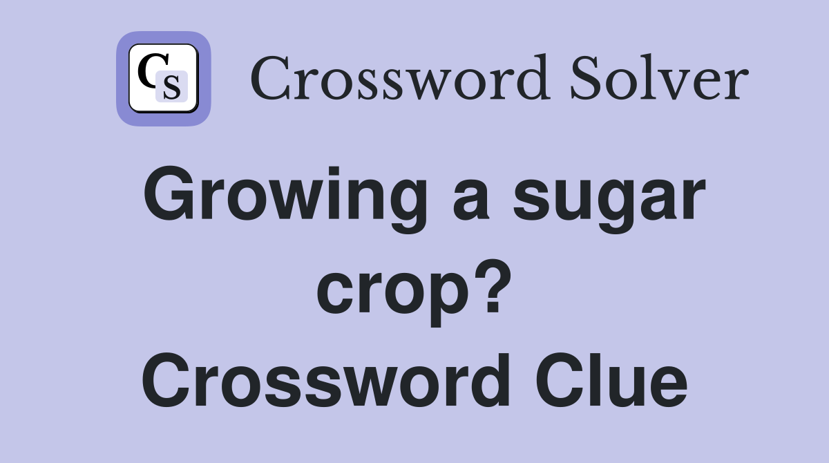 Growing a sugar crop? Crossword Clue