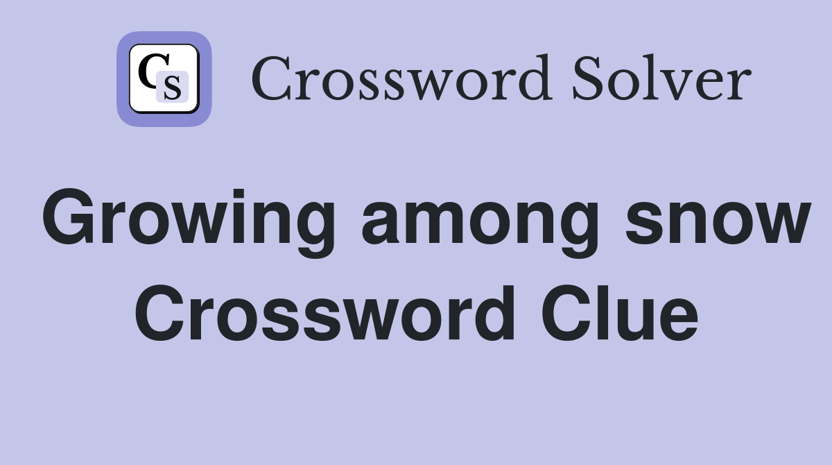 Growing among snow Crossword Clue