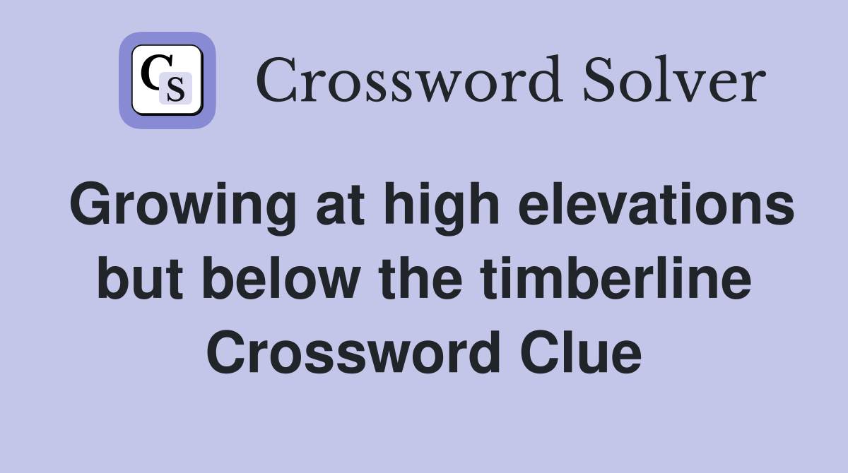 Growing at high elevations but below the timberline Crossword Clue