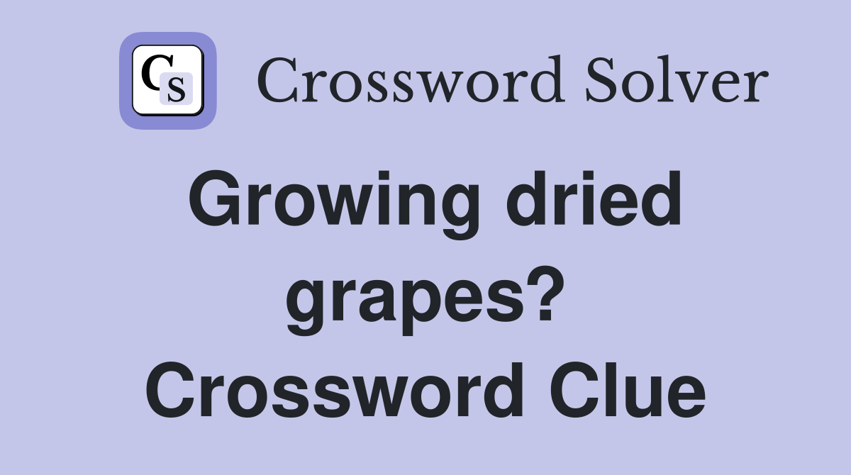 Growing dried grapes? Crossword Clue