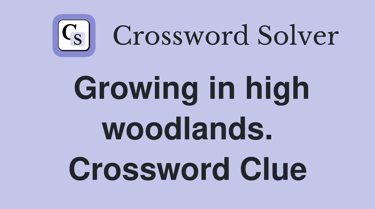 Growing in high woodlands. Crossword Clue