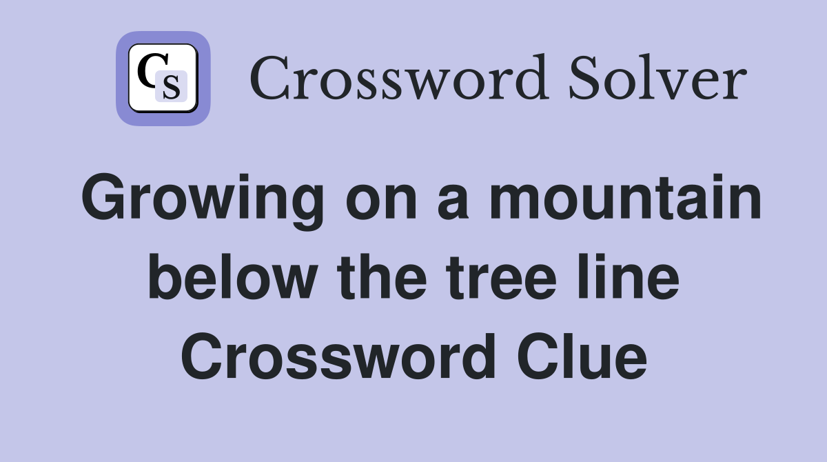 Growing on a mountain below the tree line Crossword Clue