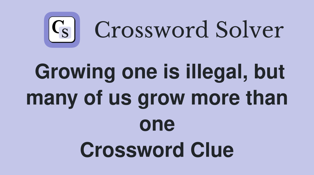 Growing one is illegal, but many of us grow more than one Crossword Clue