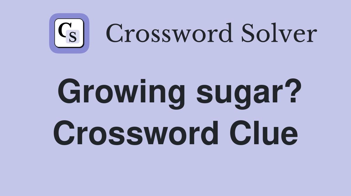 Growing sugar? Crossword Clue
