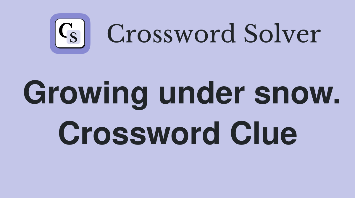 Growing under snow. Crossword Clue
