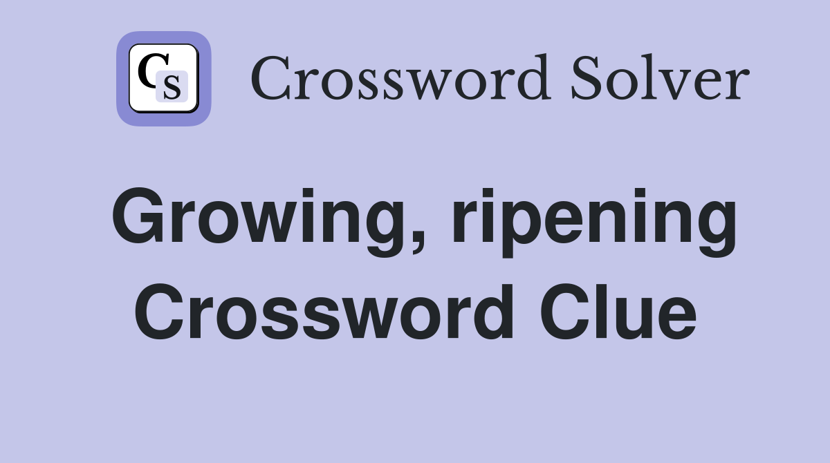 Growing, ripening Crossword Clue