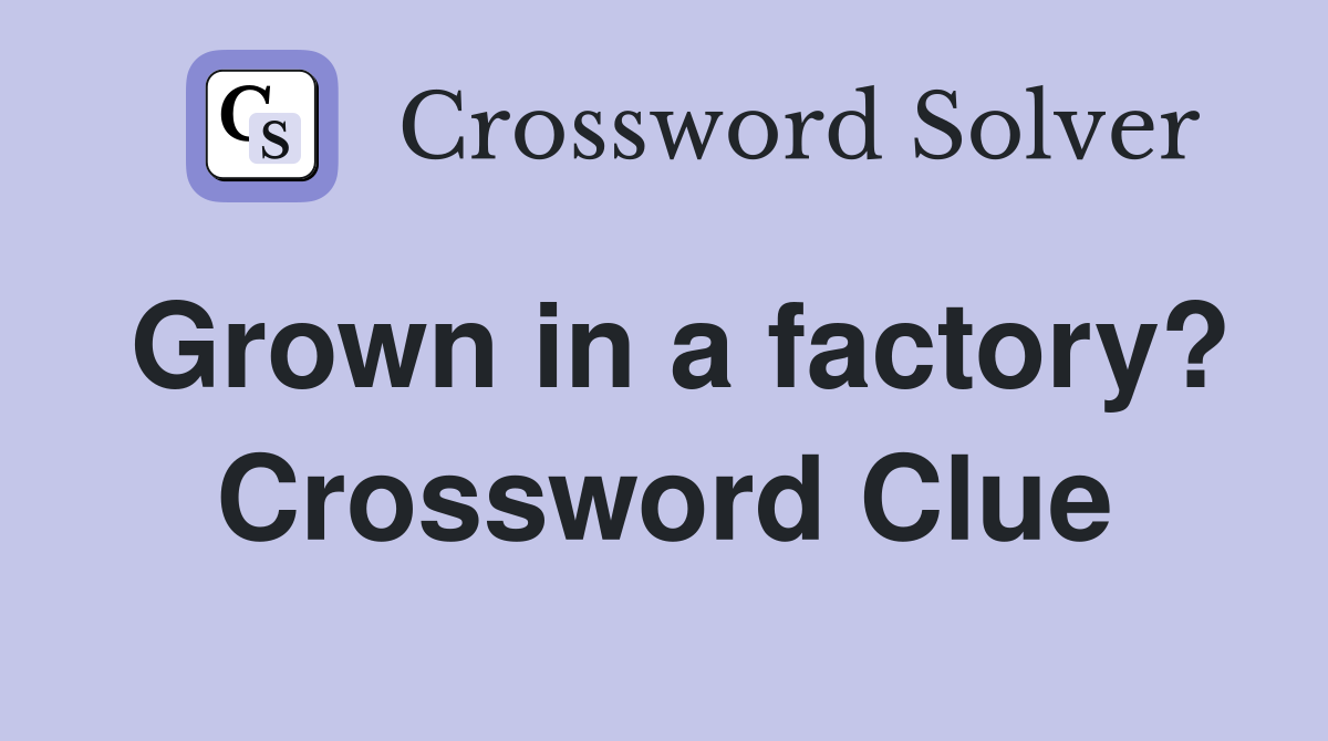 Grown in a factory? Crossword Clue