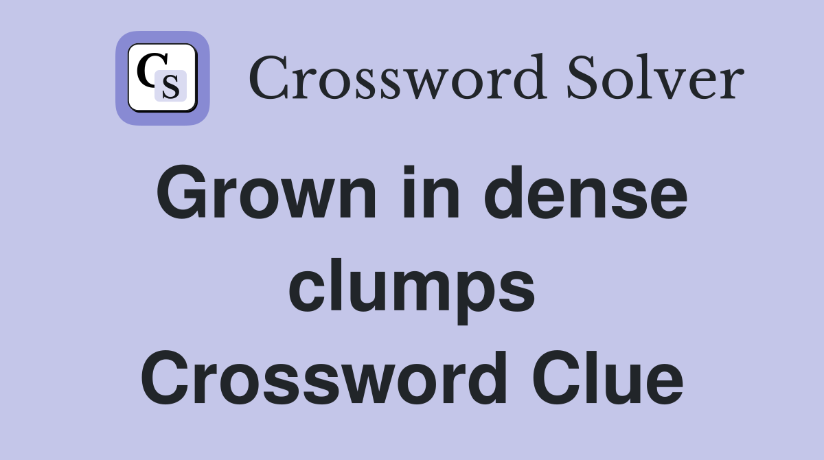 Grown in dense clumps Crossword Clue