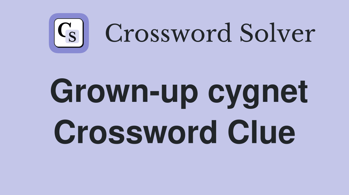 Grown-up cygnet Crossword Clue