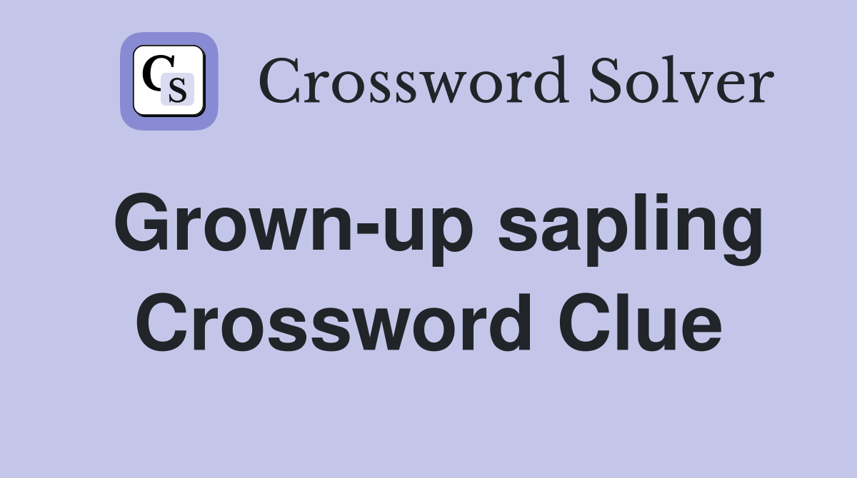 Grown-up sapling Crossword Clue