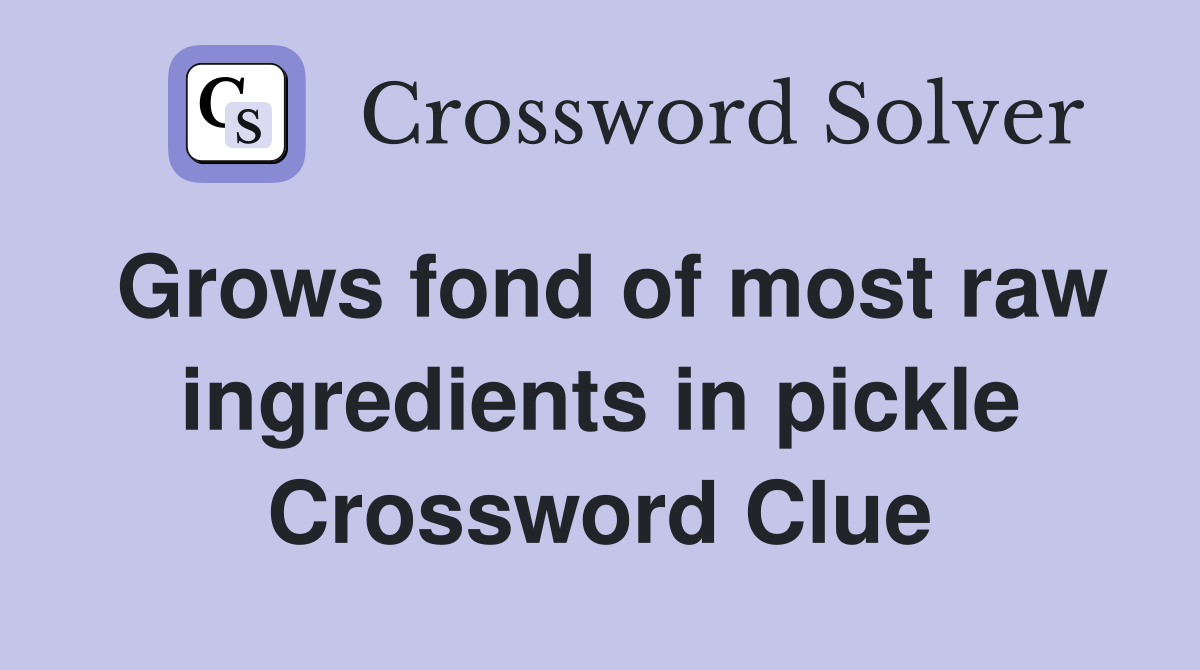 Grows fond of most raw ingredients in pickle Crossword Clue