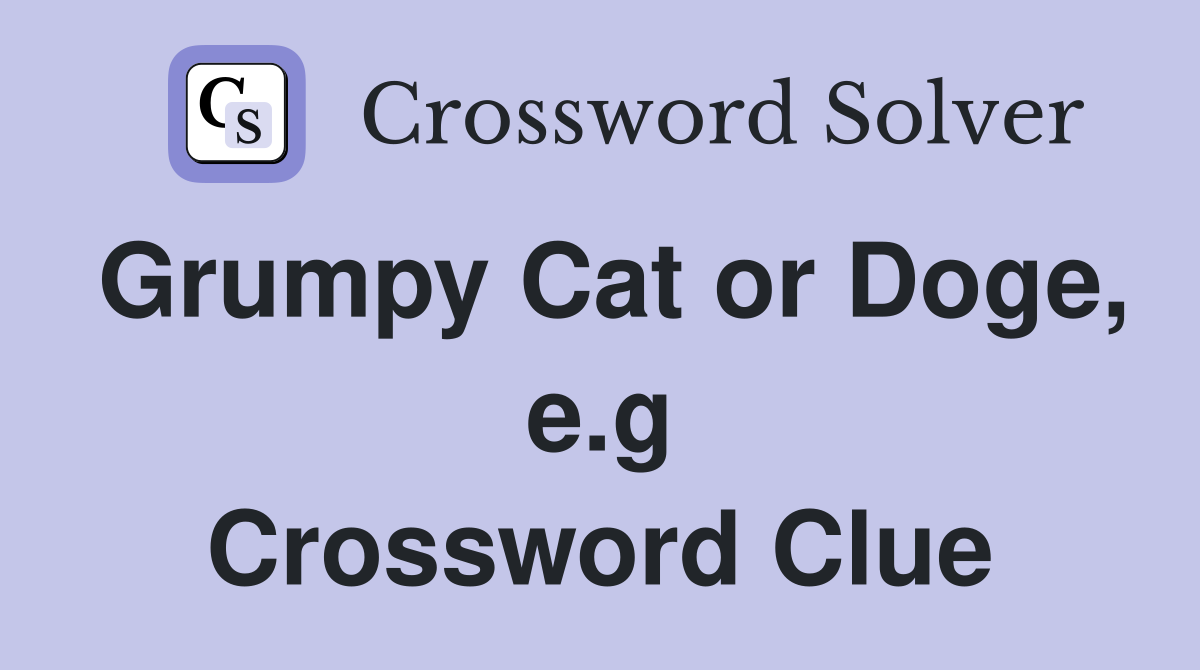 Grumpy Cat or Doge, e.g Crossword Clue