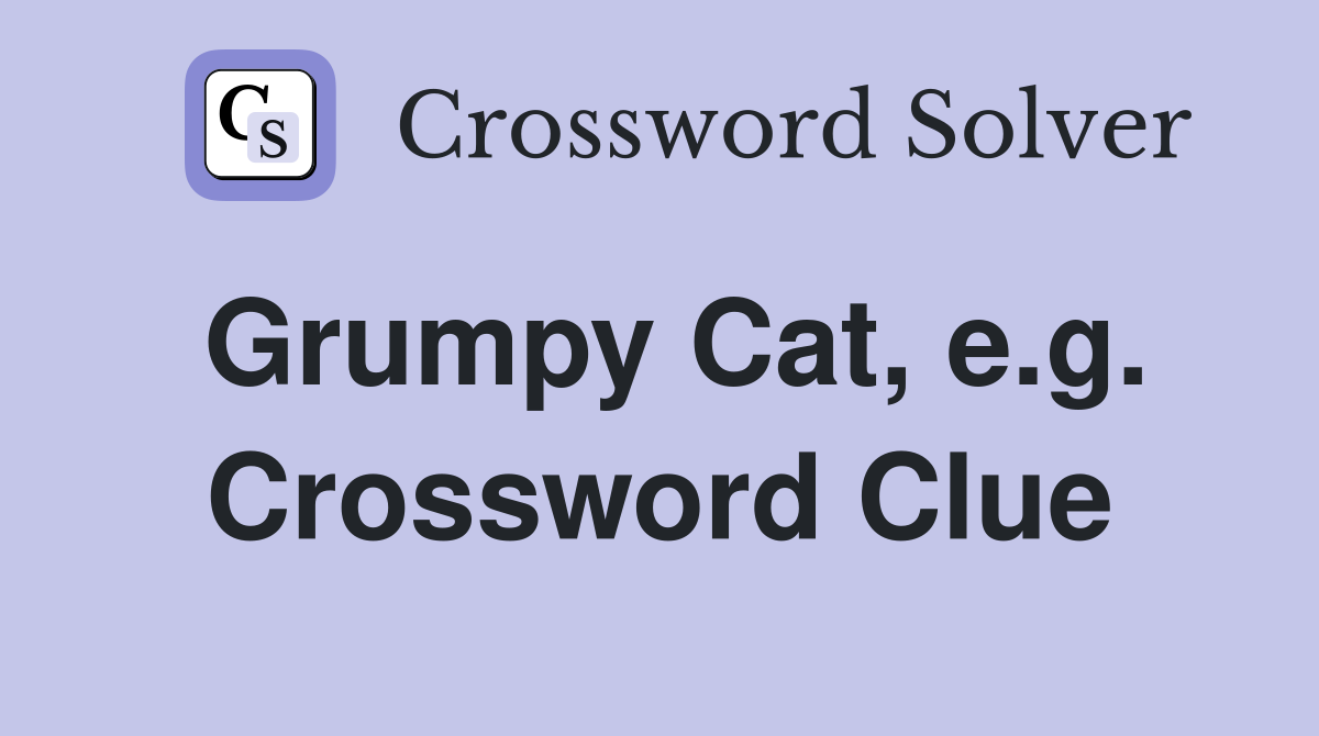 Grumpy Cat, e.g. Crossword Clue