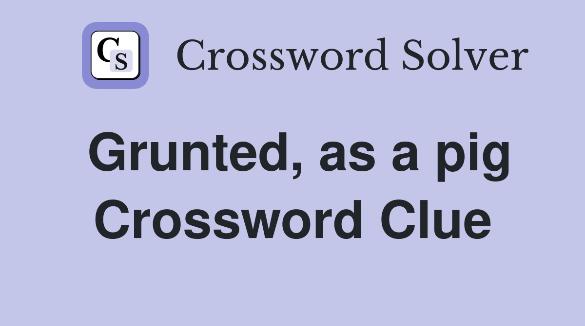 Grunted, as a pig Crossword Clue
