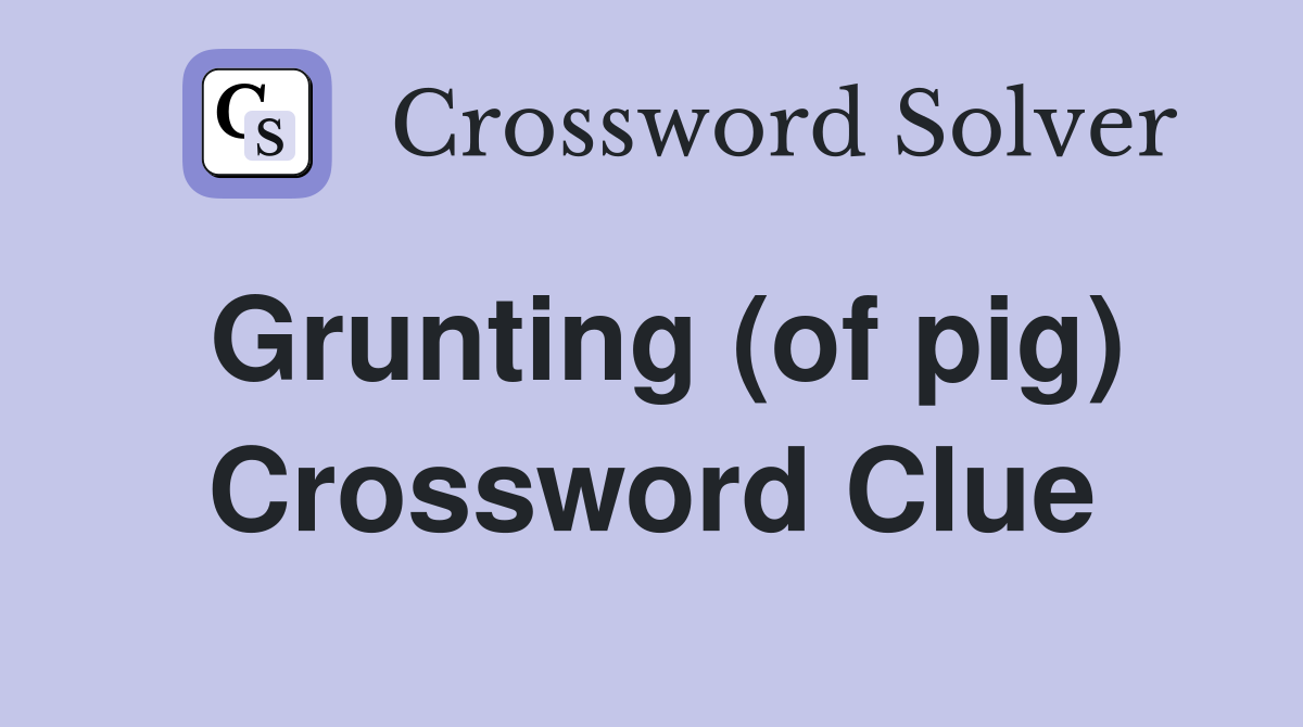 Grunting (of pig) Crossword Clue