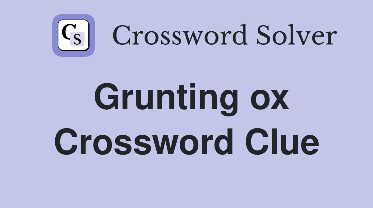 Grunting ox Crossword Clue