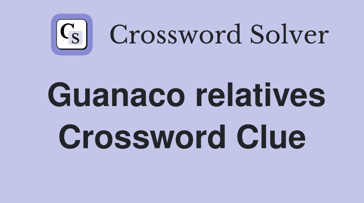 Guanaco relatives Crossword Clue