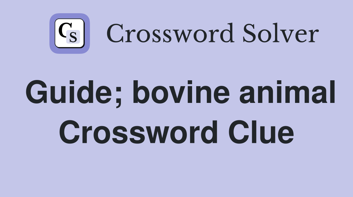 Guide; bovine animal Crossword Clue
