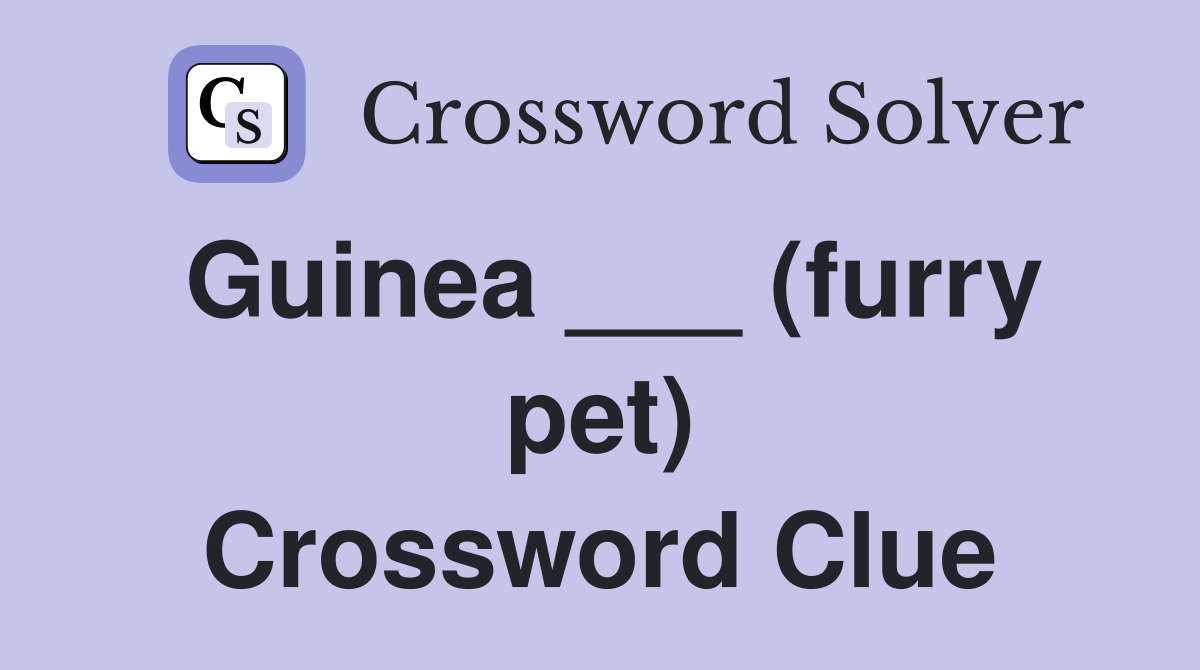 Guinea ___ (furry pet) Crossword Clue