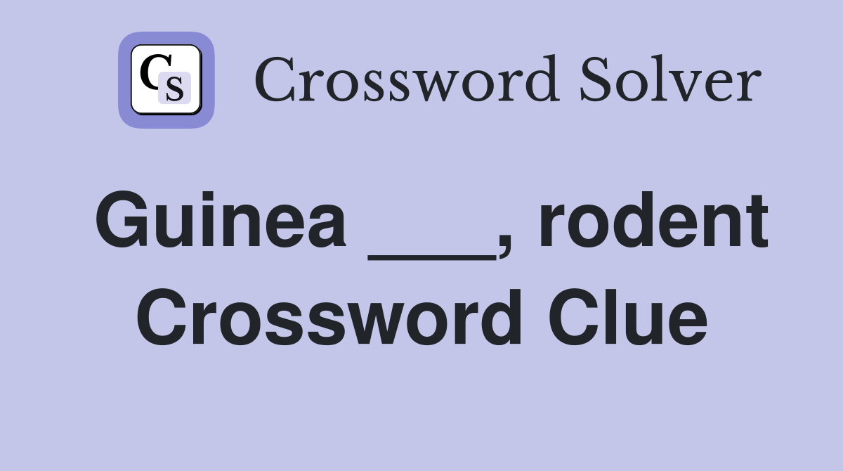 Guinea ___, rodent Crossword Clue