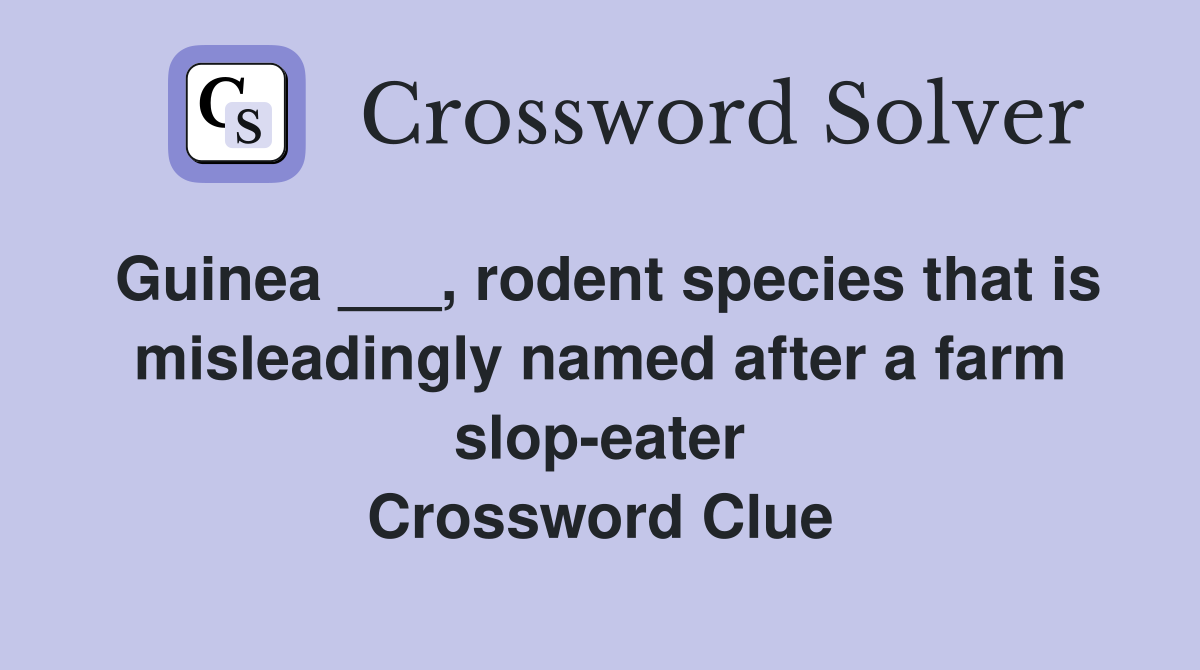 Guinea ___, rodent species that is misleadingly named after a farm slop-eater Crossword Clue
