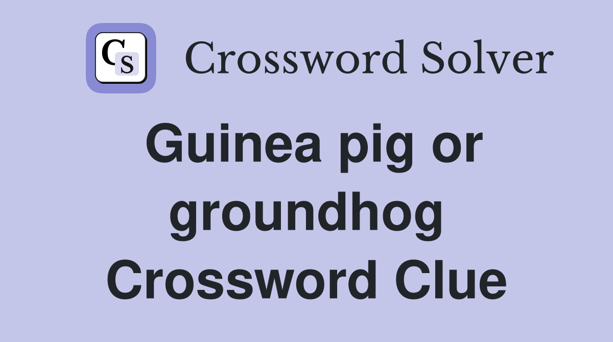 Guinea pig or groundhog Crossword Clue