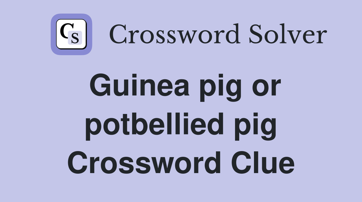 Guinea pig or potbellied pig Crossword Clue