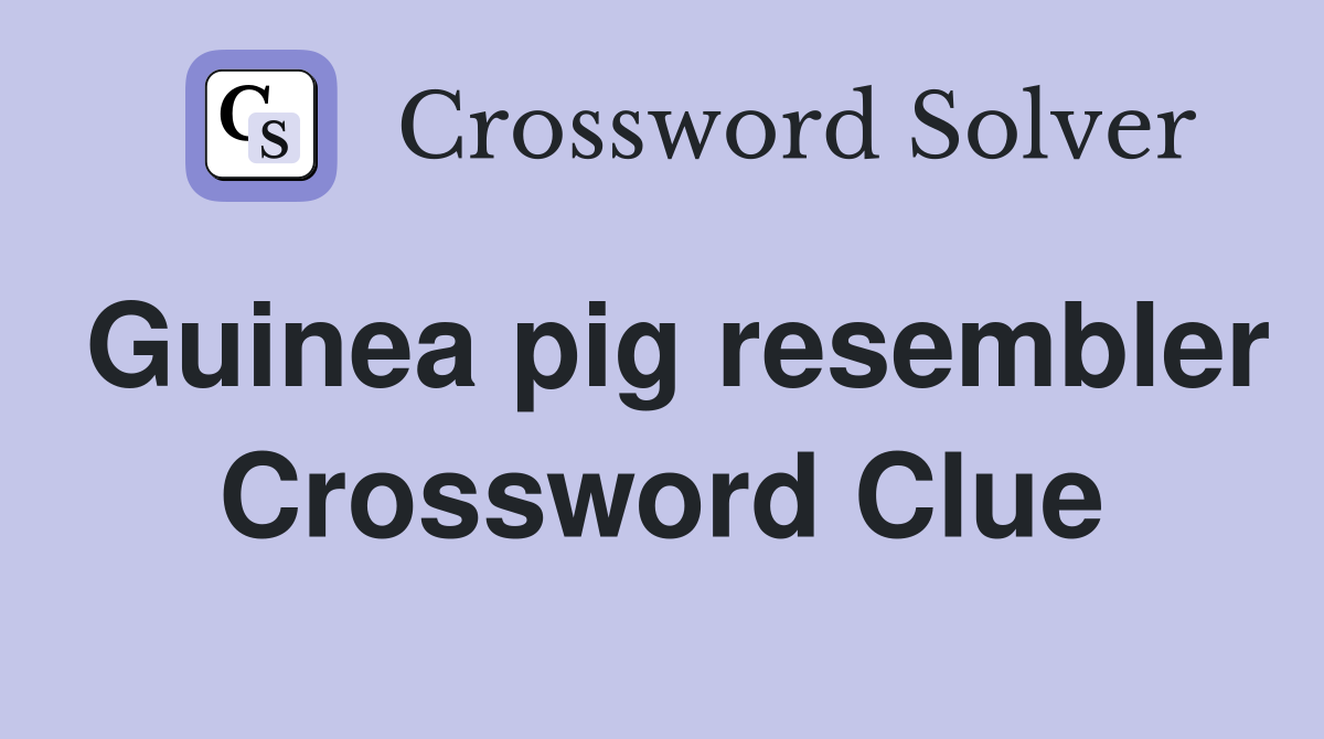 Guinea pig resembler Crossword Clue