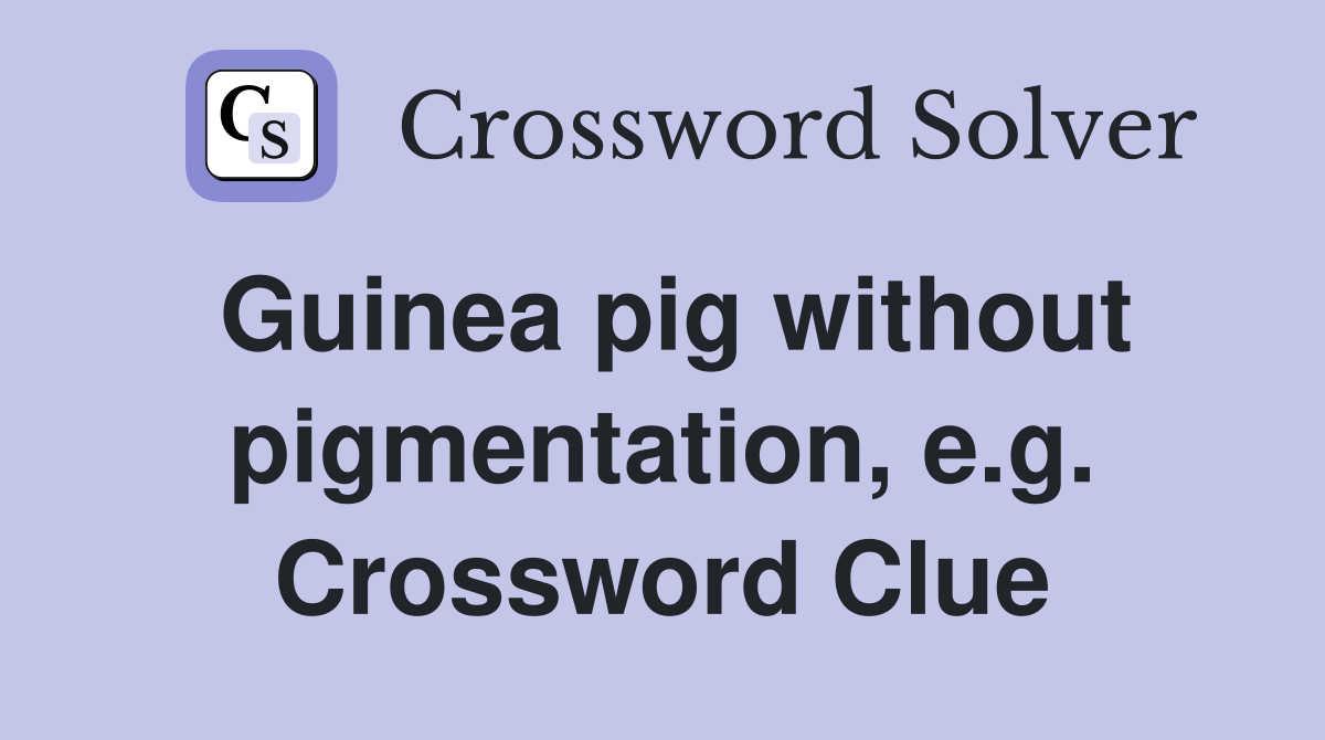 Guinea pig without pigmentation, e.g. Crossword Clue