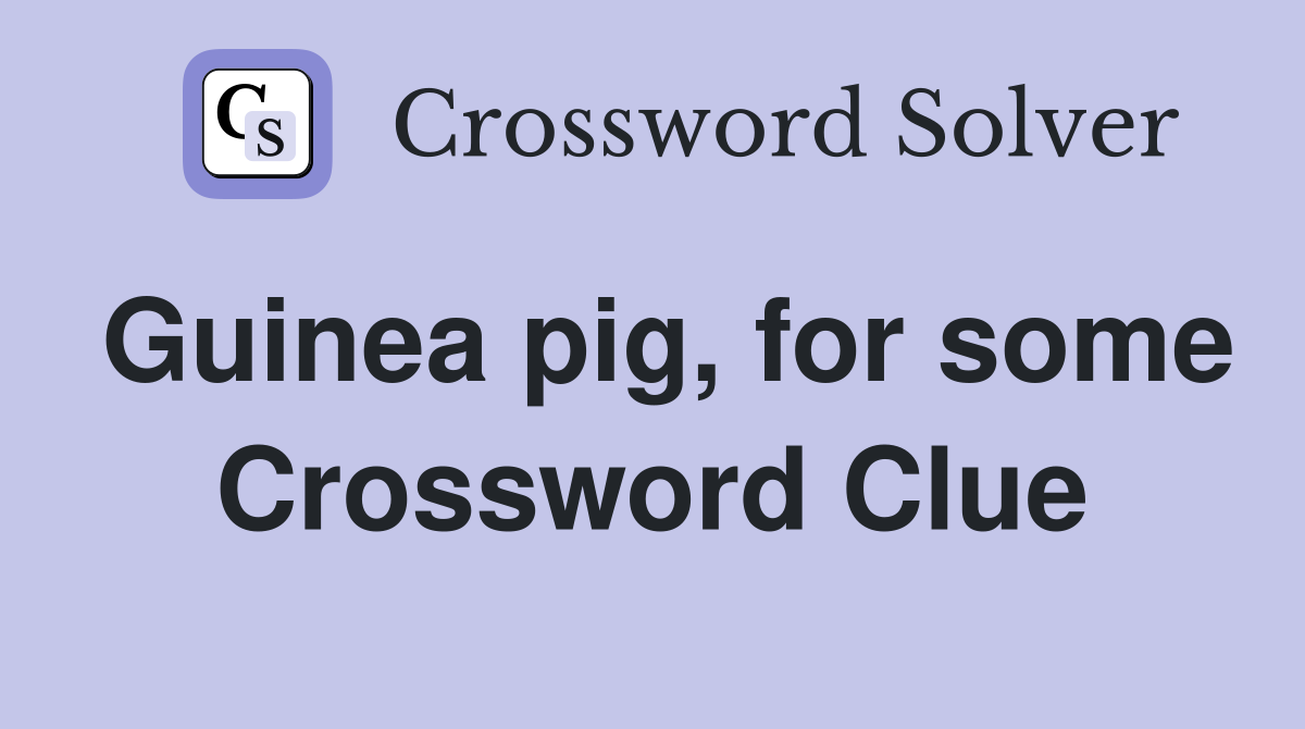 Guinea pig, for some Crossword Clue