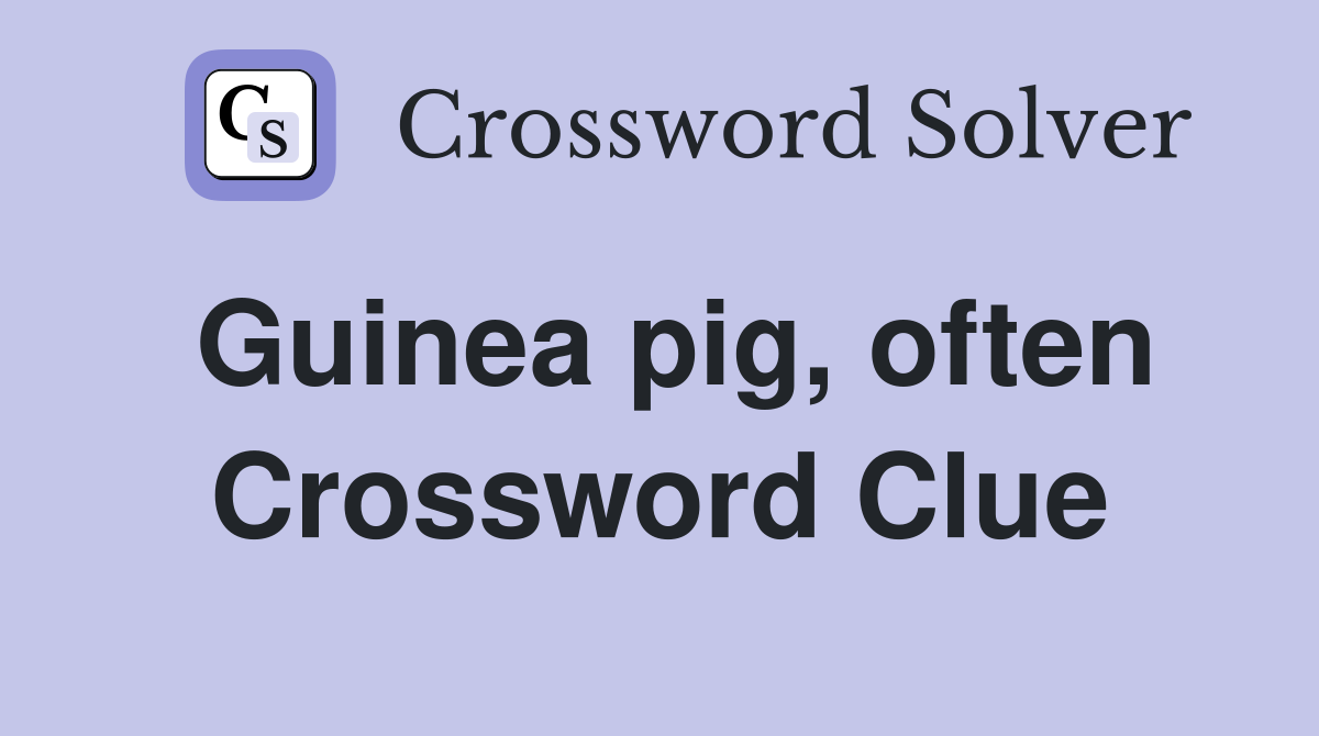 Guinea pig, often Crossword Clue