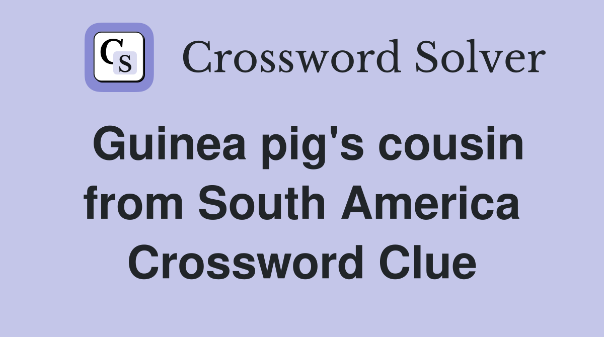 Guinea pig's cousin from South America Crossword Clue