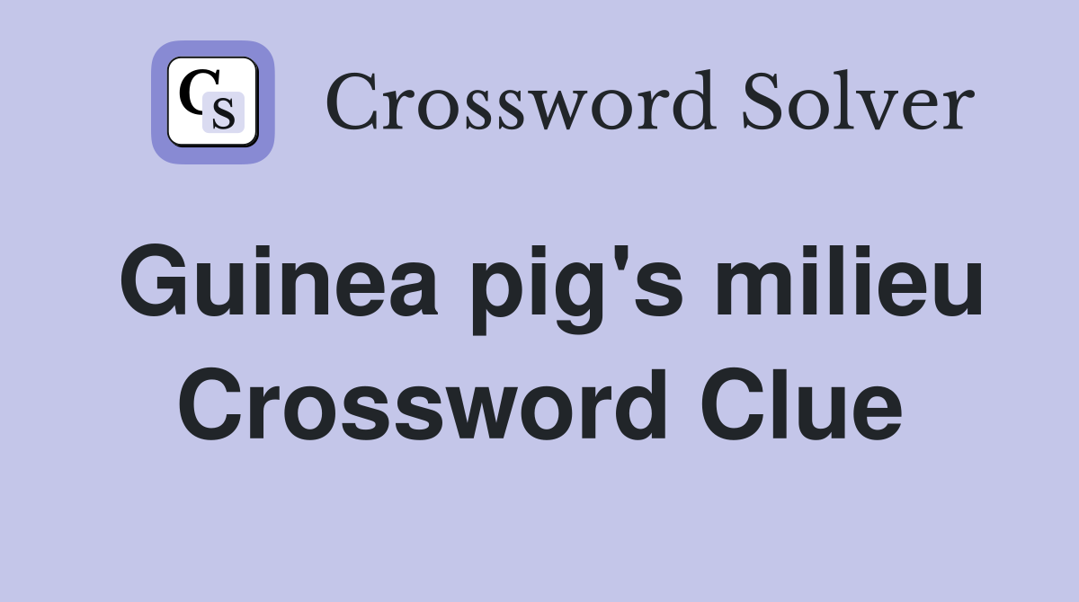 Guinea pig's milieu Crossword Clue