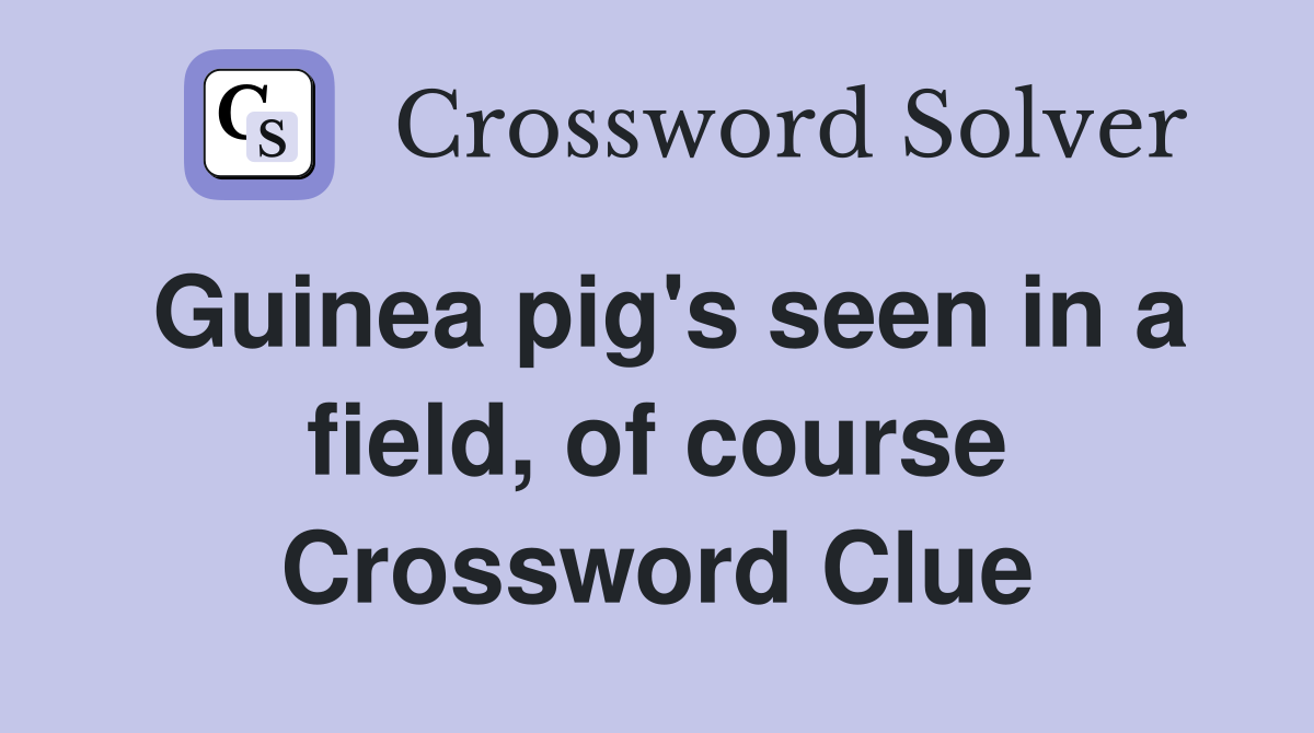 Guinea pig's seen in a field, of course Crossword Clue