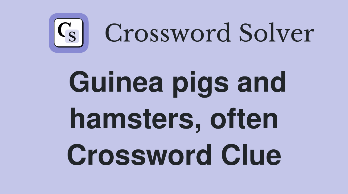 Guinea pigs and hamsters, often Crossword Clue