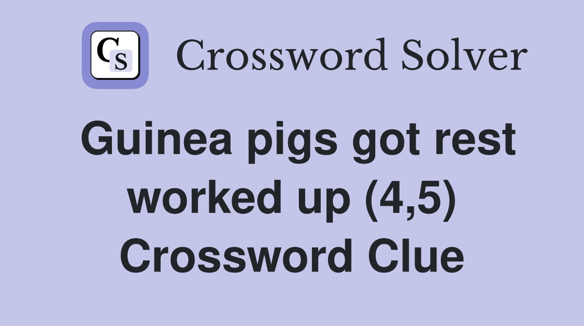 Guinea pigs got rest worked up (4,5) Crossword Clue