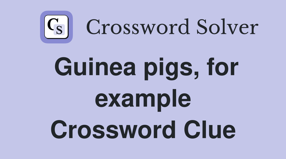 Guinea pigs, for example Crossword Clue