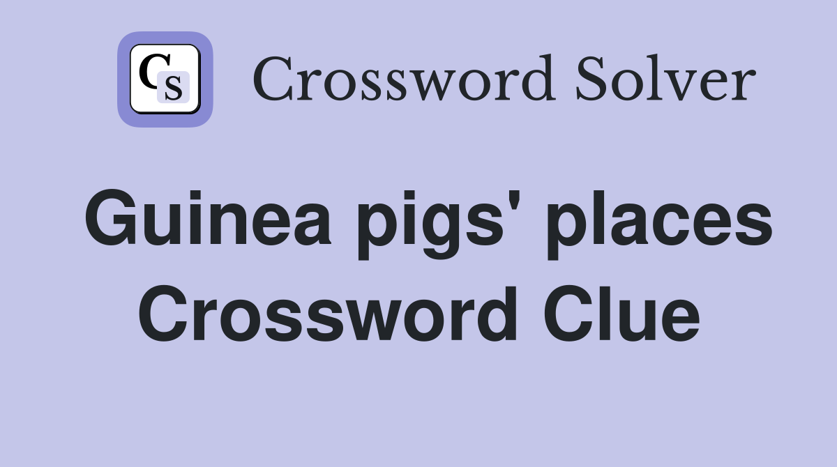 Guinea pigs' places Crossword Clue