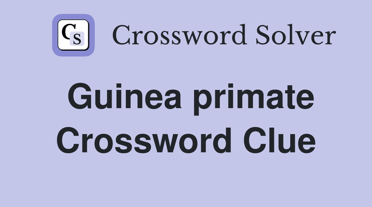 Guinea primate Crossword Clue