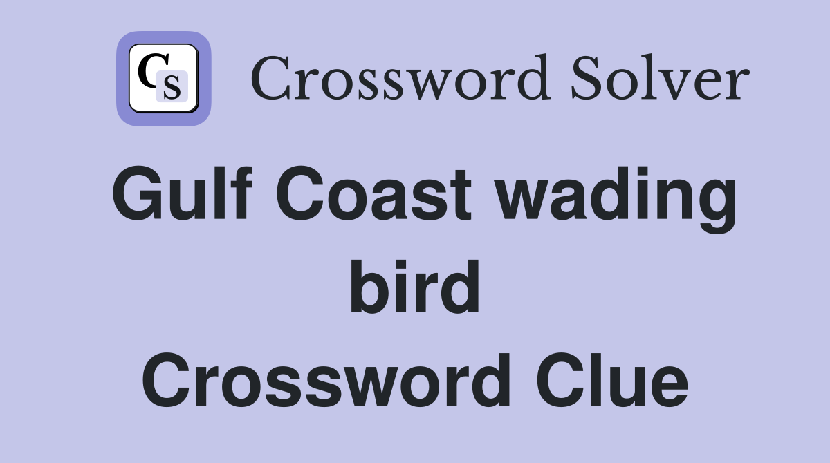 Gulf Coast wading bird Crossword Clue