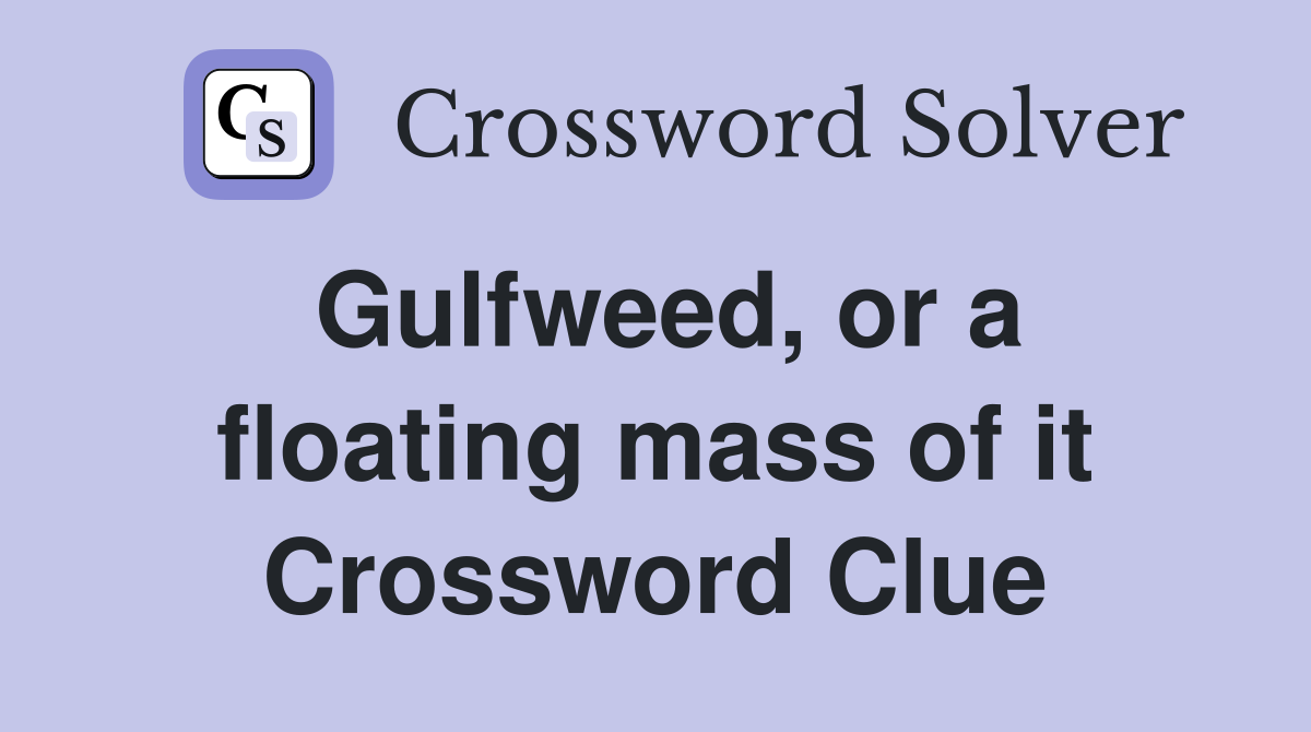 Gulfweed, or a floating mass of it Crossword Clue