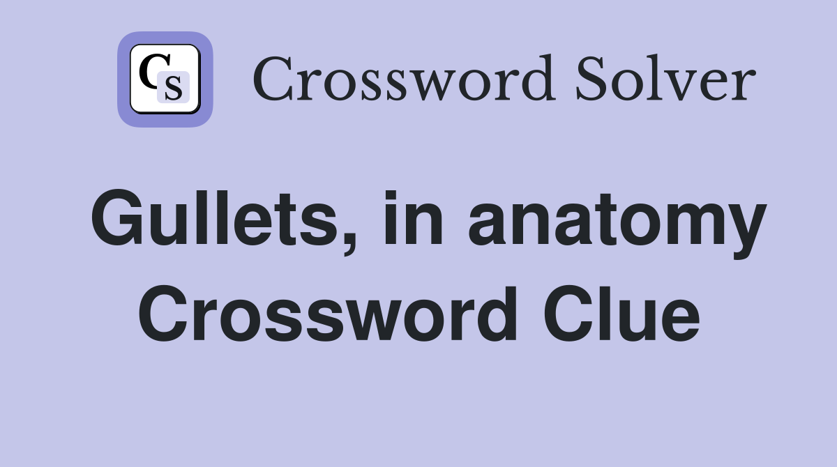 Gullets, in anatomy Crossword Clue