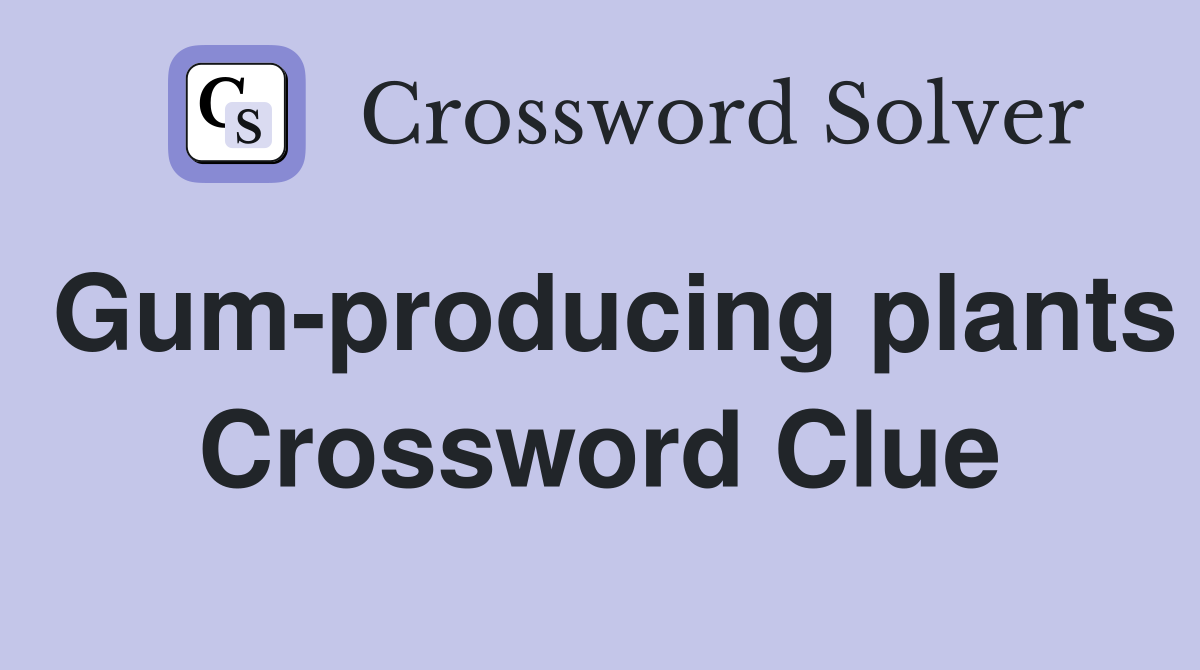 Gum-producing plants Crossword Clue