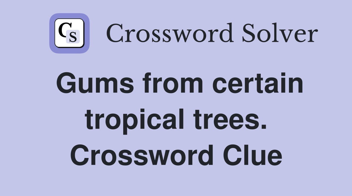 Gums from certain tropical trees. Crossword Clue