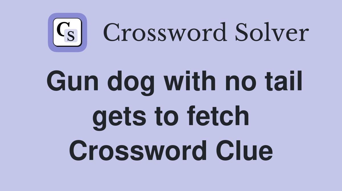 Gun dog with no tail gets to fetch Crossword Clue