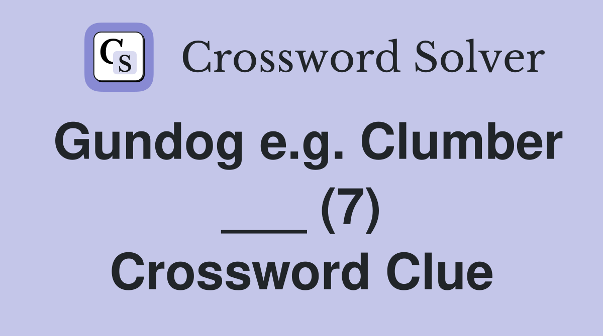 Gundog e.g. Clumber ___ (7) Crossword Clue